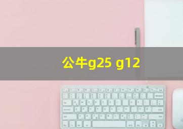 公牛g25 g12